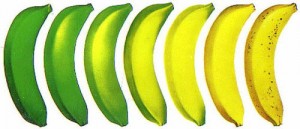 бананы степени зрелости...